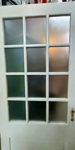 Frosted 12-lite 1 Panel Glass Door GAM0107
