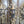 Load image into Gallery viewer, Vintage Brass Gothic Umbrella Holder Top GS00828