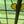 Load image into Gallery viewer, Stained Glass Window GA10339