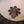 Load image into Gallery viewer, Tuscan Inspired Chandelier with an Old World Style Globe Gold Tone Leaves & Trim #GA9187