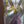 Load image into Gallery viewer, Custom Textured Stained Glass Window Panel Framed in Brazilian Wood GA9320