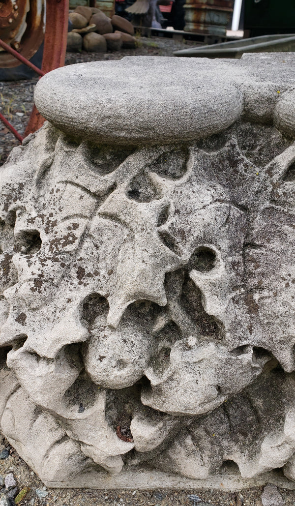 Antique European Stone  Poinsettia Column Base GA9332