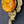 Load image into Gallery viewer, Very Rare Antique Faceted Amber Crystal & Solid Brass Servant Bell Pull GA9378