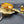 Load image into Gallery viewer, Very Rare Antique Faceted Amber Crystal & Solid Brass Servant Bell Pull GA9378