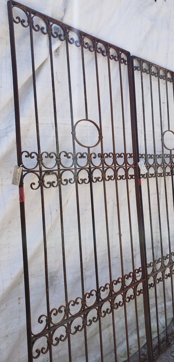 Pair of Ornate Wrought Iron Gates 91" Tall by  40 1/2" Wide  #GA9402