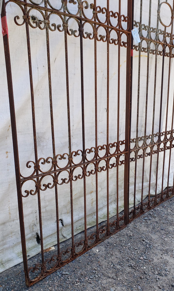 Pair of Ornate Wrought Iron Gates 91" Tall by  40 1/2" Wide  #GA9402