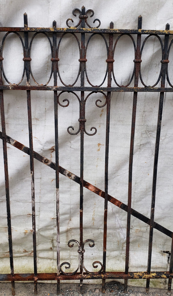 Pair of Ornate Wrought Iron Driveway Gates 55 1/4" Wide x 49 1/2" Tall GA9478