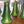 Load image into Gallery viewer, Set of 10 Lundberg Studios Art Glass 700G 5" Tall Green Lily Lamp Shades GA9561