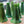 Load image into Gallery viewer, Set of 10 Lundberg Studios Art Glass 700G 5" Tall Green Lily Lamp Shades GA9561