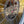 Load image into Gallery viewer, Unique 32" Round Leaded Textured Stained Glass Window in Wood Frame GA9521