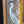 Load image into Gallery viewer, Leaded Textured Stained Glass Window of a Tropical Crane in a Tree GA9522