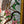 Load image into Gallery viewer, Leaded Textured Stained Glass Window of a Tropical Crane in a Tree GA9522