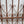 Load image into Gallery viewer, Wrought Iron Gate Panel with Heart Shaped Scrolls 25" W x 66" T GA9531