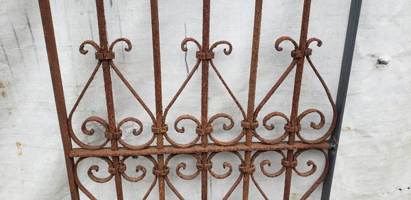 Wrought Iron Gate Panel with Heart Shaped Scrolls 25" W x 66" T GA9531