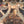 Load image into Gallery viewer, Ornate 5 Light Filigree Chandelier with Heraldic Accents GA9549