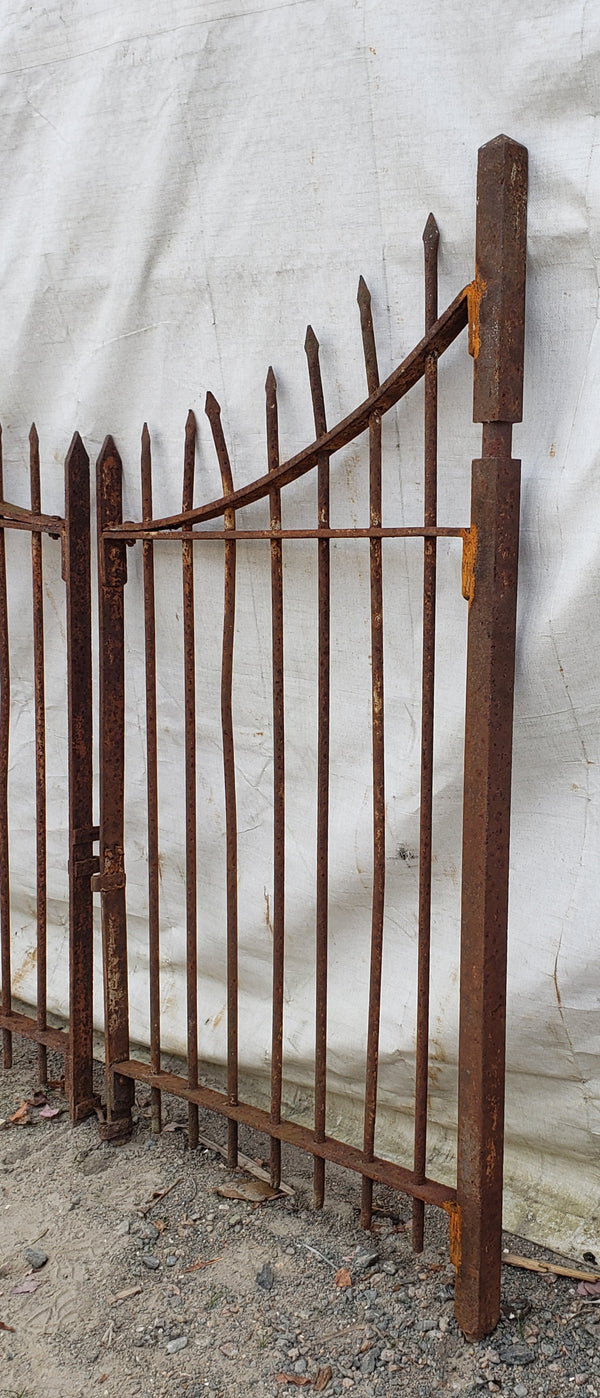 Arched Gates with Arrow Point Finials GA9577