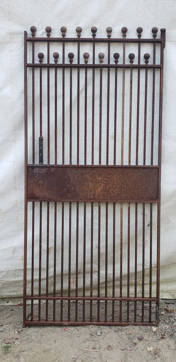 Iron Gate Panel with Double Ball Top Finials 32 5/8" x 71 3/4" Tall GA9584