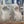 Load image into Gallery viewer, Set of 8 Matching Victorian Wooden Corbels GA9654