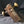 Load image into Gallery viewer, 1800's Left Side Carpenter Rim Lock Set with Keeper & Key  7" x 4 3/4" GA231