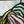 Load image into Gallery viewer, Michelangelo's Libyan Sibyl Painting on Stained Glass 33" x 41 1/2" GA9738