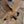 Load image into Gallery viewer, Ornate Cast Iron Eagle Statue 40" x 40" GA9770