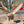 Load image into Gallery viewer, Ornate Cast Iron Eagle Statue 40" x 40" GA9770