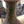 Load image into Gallery viewer, 1920's Roseville Pottery Imperial I Ceramic Jardinière Pedestal GA9851