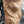 Load image into Gallery viewer, Pair of Ornate Hand Carved Mystical Griffins in Dark Asian Hardwood GA9858