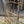 Load image into Gallery viewer, Late 1800's Wrought Iron Gate Panel with Arrow Finials 40" W x 39 1/2" T GS00049