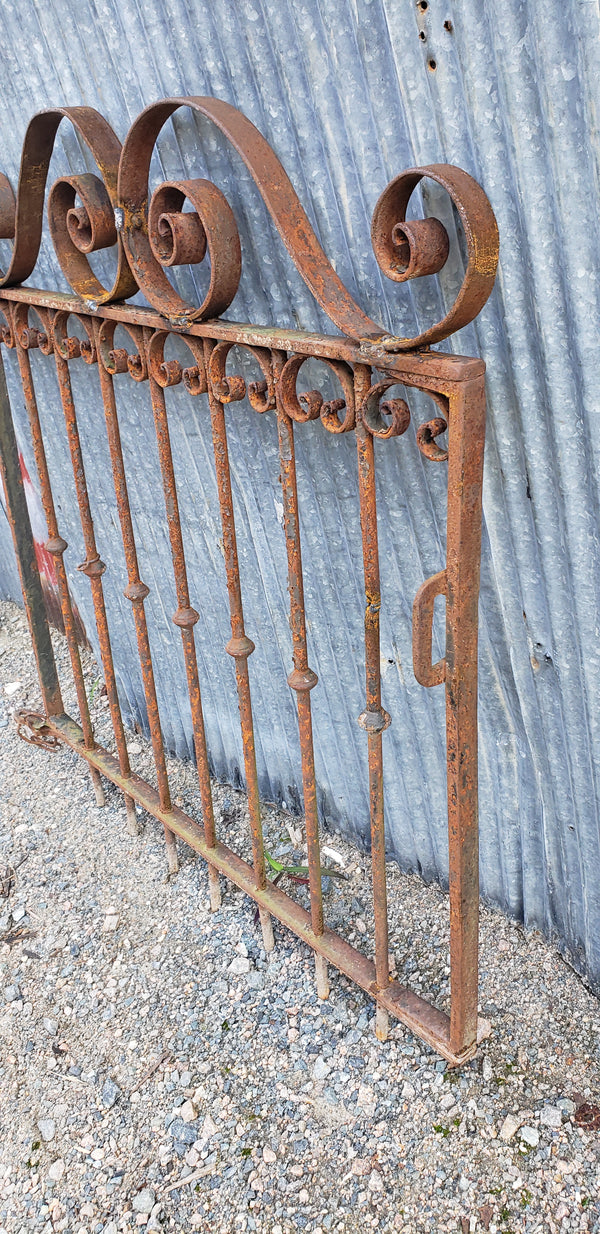 Wrought Iron Gate with Ornate Double Scrolls 35 3/4" W x 37 1/4" T GS00072
