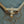 Load image into Gallery viewer, Vintage Oneida Victor #2 Plus Blake & Lamb Cast Iron Animal Traps GS00089