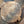 Load image into Gallery viewer, Vintage Oneida Victor #2 Plus Blake & Lamb Cast Iron Animal Traps GS00089