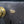 Load image into Gallery viewer, Restored J.A. Carpenter #60 Rim Lock Set 5 7/8" x4 1/4" GS00134