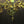 Load image into Gallery viewer, Early 1800's 12 Light Cast Brass Ornate Chandelier 26" x 24" GS00138
