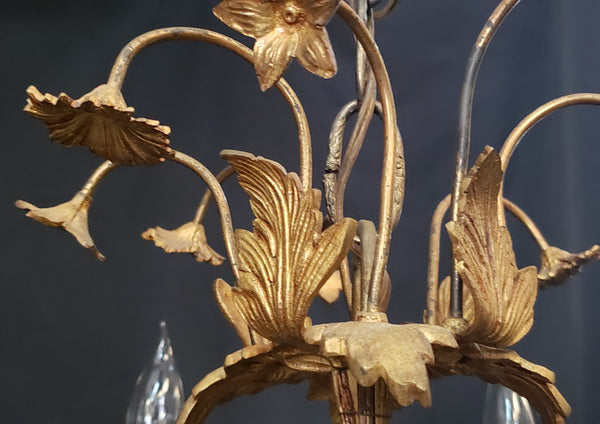 Early 1800's 12 Light Cast Brass Ornate Chandelier 26" x 24" GS00138