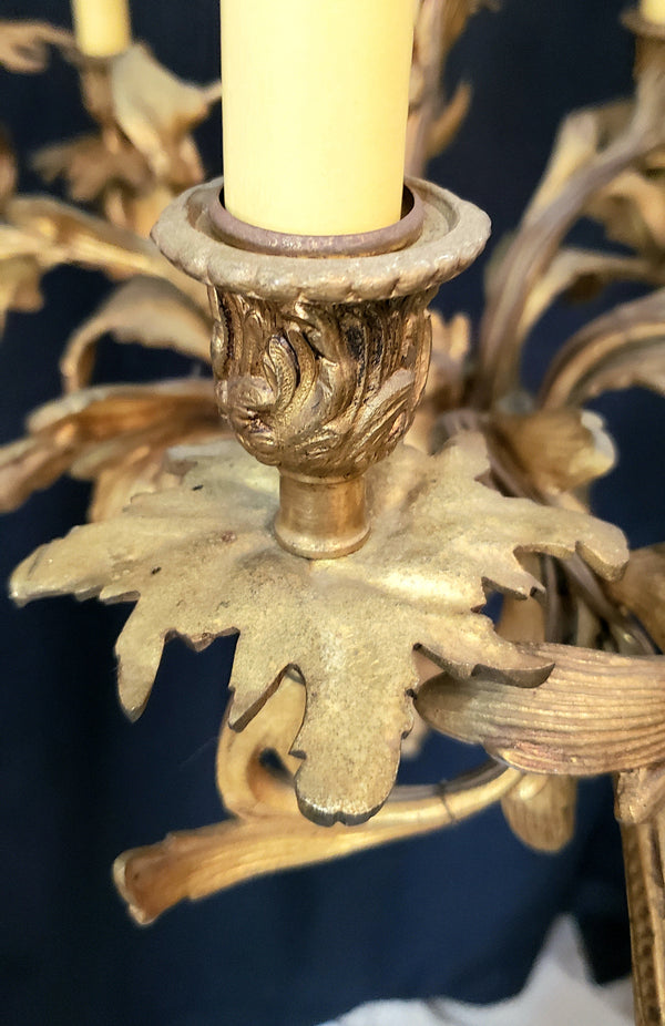 Early 1800's 12 Light Cast Brass Ornate Chandelier 26" x 24" GS00138