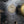 Load image into Gallery viewer, Restored Left Side J.A. Carpenter #60 Rim Lock Set 5 1/8" x 4 3/8" GS00171
