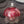 Load image into Gallery viewer, Victorian Hanging Oil Lamp with Cranberry Shade & Cast Iron Frame GS00178
