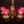 Load image into Gallery viewer, Vintage John Scott Brass Chandelier w/ Choice Shades 34" x 31" GS00261