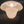 Load image into Gallery viewer, Vintage Schoolhouse White to Clear Pendant Light with Brass Trim GS00292