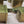 Load image into Gallery viewer, 4 Large Solid Brass Square Furniture Leg Cap Covers with Casters GS00327