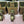 Load image into Gallery viewer, 4 Large Solid Brass Square Furniture Leg Cap Covers with Casters GS00327