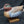 Load image into Gallery viewer, 1988 Green Wing Teal Duck by J. P. Curtis Jr. 11" x 4 3/4" x 5" GS00341