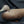 Load image into Gallery viewer, 1976 R. Madison Mitchell Cork Duck Decoy 17" x 8 1/2" x 8" GS00347