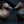 Load image into Gallery viewer, 1952 Matching Pair of Male & Female Duck Decoys by R. Madison Mitchell GS00348