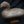 Load image into Gallery viewer, 1952 Matching Pair of Male & Female Duck Decoys by R. Madison Mitchell GS00348