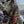 Load image into Gallery viewer, Rare Early 1900's Free Standing Wooden Swivel Hobby Horse GAM0446