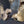 Load image into Gallery viewer, 1940's Pair of Large Brass Fighting Roosters 10" x 9" & 9"x 9" GS00367