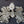 Load image into Gallery viewer, 3 Large Brass Double Acanthus Leaf Drapery Tie Backs 13" x 5 1/4" GS00370