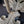 Load image into Gallery viewer, 3 Large Brass Double Acanthus Leaf Drapery Tie Backs 13" x 5 1/4" GS00370